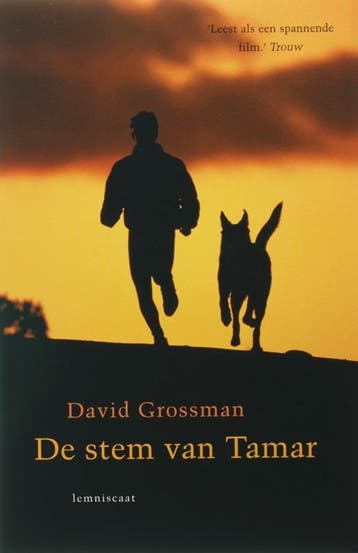 De stem van Tamar / In Between - David Grossman, Verzenden, Zo goed als nieuw, David Grossman