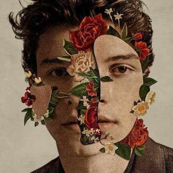SHAWN MENDES - SHAWN MENDES (LP), Cd's en Dvd's, Vinyl | Pop, Verzenden, Nieuw in verpakking