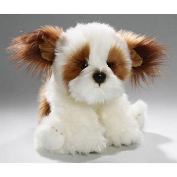 Carl Dick shih tzu knuffel - pluche - 24 cm - hond, Verzenden, Nieuw