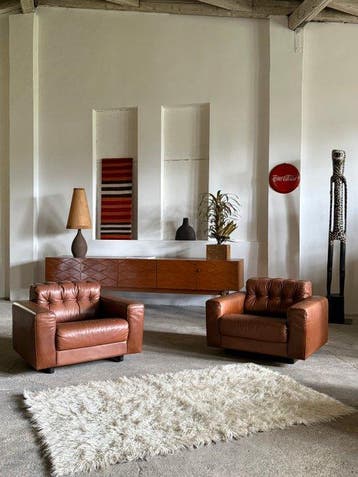 de Sede - Fauteuil (2) - DS-40 - Buffelleer