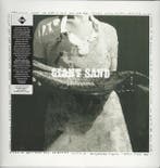lp nieuw - Giant Sand - *proVISIONS*, Verzenden, Zo goed als nieuw