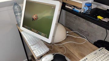 Apple iMac G4 “Lamp / Sunflower” – 15 inch – 700 MHz -, Nieuw