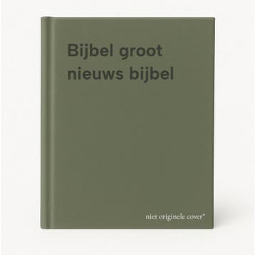 Bijbel groot nieuws bijbel 9789061733539, Boeken, Verzenden, Gelezen