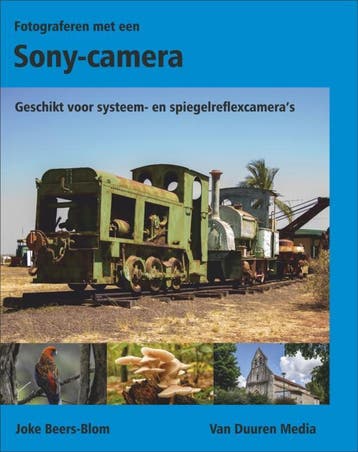 Fotograferen met de Sony-camera / Bewuster en beter, Boeken, Verzenden, Zo goed als nieuw, Joke Beers-Blom