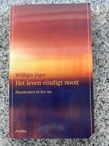 Het leven eindigt nooit meer  (Willigis Jäger), Verzenden, Christendom | Katholiek, Willigis Jäger, Gelezen