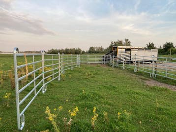 Texas panelen, vanghekken paardenbak koeien hek weidepaneel., Weidegang