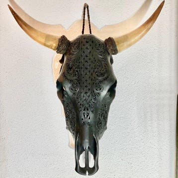 stier Schedel - Bull gegraveerd - 60 cm - 54 cm - 16 cm