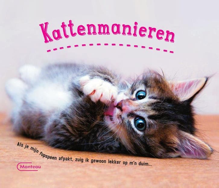 Kattenmanieren 9789022336472, Boeken, Hobby en Vrije tijd, Zo goed als nieuw, Verzenden