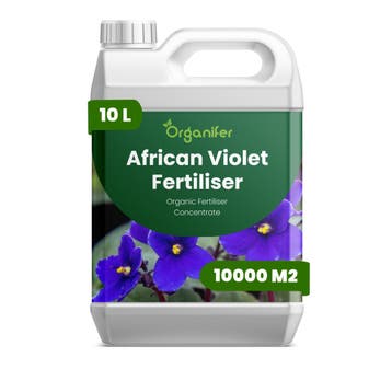 Vloeibare meststof voor Afrikaanse viooltjes - 10 liter, Verzenden, Mest