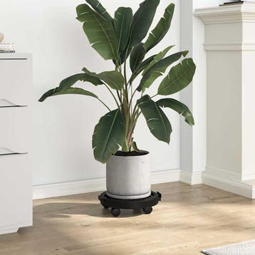 vidaXL Plantentrolley met wielen 170 kg diameter 30 cm zwart, Verzenden, Nieuw