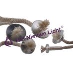 Lonthouders met olielamp lont - zelf olielamp maken, Ophalen of Verzenden, Nieuw