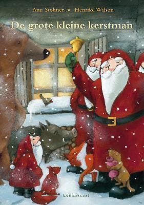 De grote kleine kerstman - Anu Stohner 9789047703068, Verzenden, Zo goed als nieuw, Anu Stohner