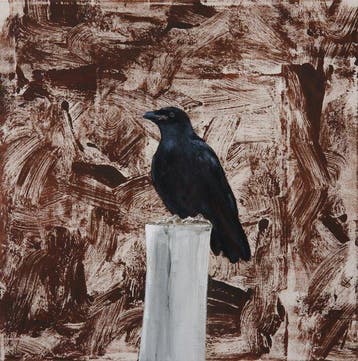 Matthieu van Riel - Kraai