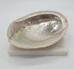 Abalone smudge schelp, Ophalen of Verzenden