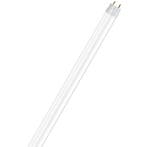 LED TL Armatuur met T8 Buis - OSRAM SubstiTUBE Value EM 865, Ophalen of Verzenden, Nieuw