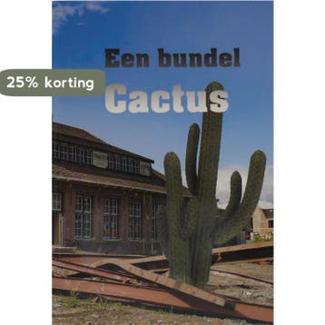 Een bundel Cactus - Harry Hamstra 9789492055514, Verzenden, Zo goed als nieuw, Harry Hamstra