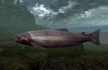 Reel Fishing III (ps2 tweedehands game), Ophalen of Verzenden, Zo goed als nieuw
