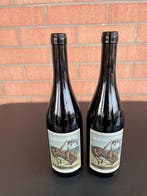 2023 Philine Isabelle & Lalu’ Cavallo Scosso Nebbiolo -, Nieuw