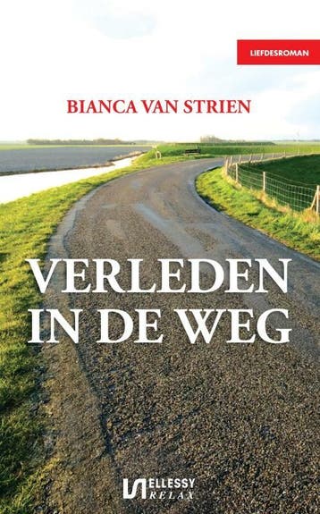 Verleden in de weg - Bianca van Strien 9789086601332, Verzenden, Zo goed als nieuw, Bianca van Strien