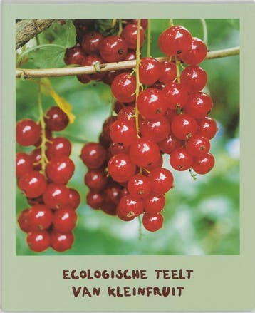 Ecologische teelt van kleinfruit - Guy Buysse 9789080062627, Verzenden, Gelezen, Guy Buysse