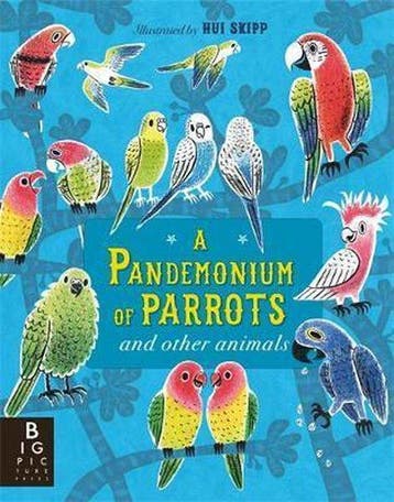 A Pandemonium of Parrots - Hui Skipp 9781783704620, Verzenden, Zo goed als nieuw, Hui Skipp