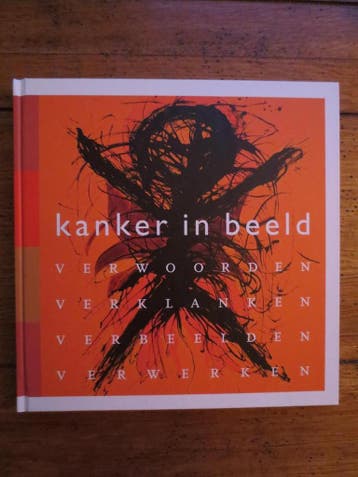 Kanker in Beeld - Paula Vos 9789081458610, Verzenden, Gelezen, Paula Vos