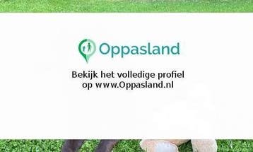 Messi zoekt een oppas in Vries., Vacatures