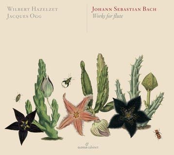 Hazelzet Wilbert-Ogg Jacques - Works For Flute - CD, Verzenden, Nieuw in verpakking