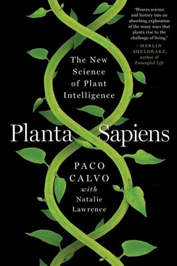 9781324074618 Planta Sapiens Paco Calvo, Verzenden, Nieuw, Paco Calvo