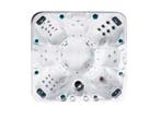 Passion Spa Joy incl. Cover, Verzenden, Nieuw