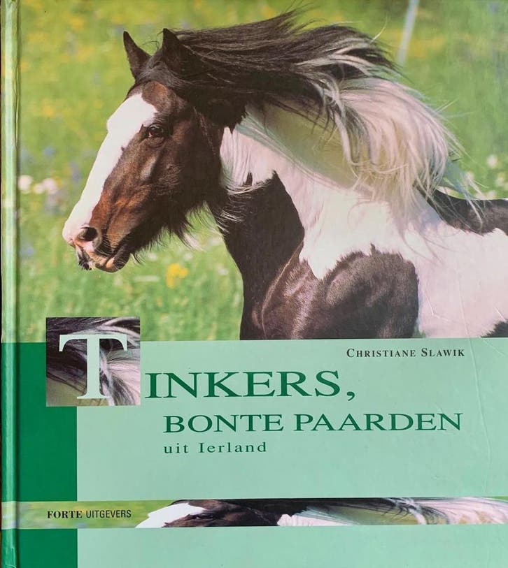 Tinkers, bonte paarden uit Ierland 9789058770097 C. Slawik, Boeken, Hobby en Vrije tijd, Gelezen, Verzenden