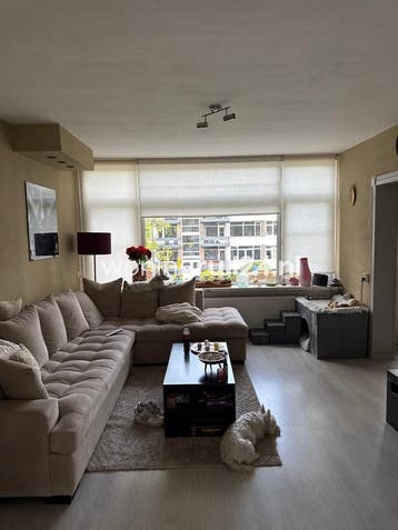 Woningruil - Marialaan 2A - 2 kamers en Noord-Brabant, Noord-Brabant