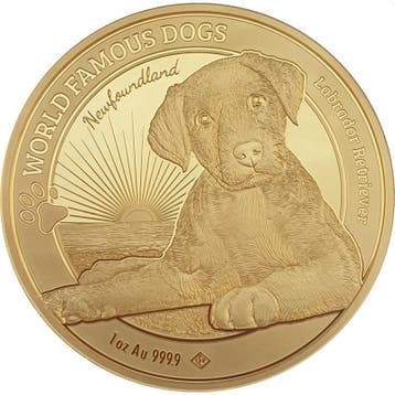Gouden Kameroen - World Famous Dogs - Labrador - 1 oz 2023, Verzenden, Overige landen, Losse munt, Goud