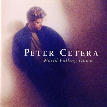 cd - Peter Cetera - World Falling Down, Verzenden, Zo goed als nieuw