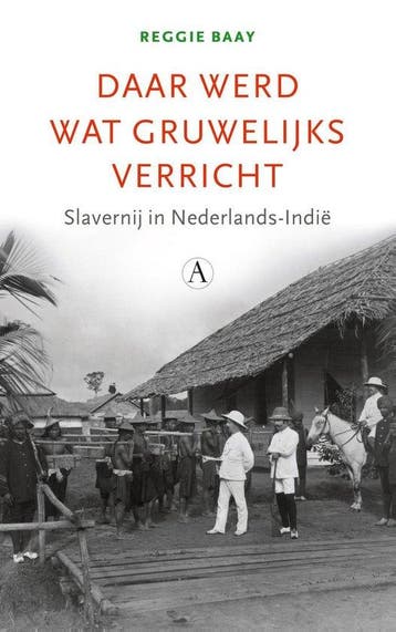 9789025313319 Daar werd wat gruwelijks verricht, Verzenden, Nieuw, Reggie Baay