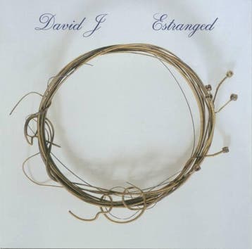 cd - David J - Estranged, Verzenden, Zo goed als nieuw
