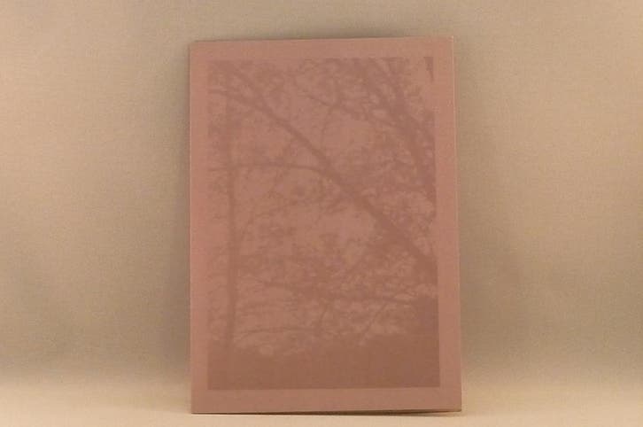 Looper - Dying sun, Cd's en Dvd's, Cd's | Overige Cd's, Zo goed als nieuw, Ophalen of Verzenden