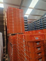 Stapelbak, 600x400x120 mm, euronorm, oranje kunststof,, Gebruikt, 40 tot 60 cm, 50 tot 75 cm, Bak of Kist