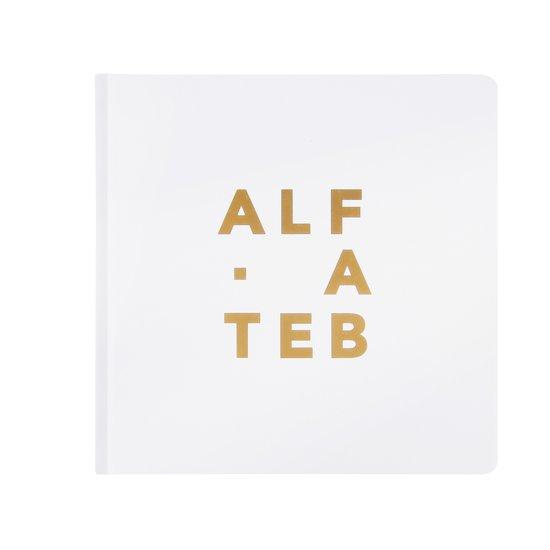 Klyntje ALFABET. boek - Nederlands hiphop artiesten, Boeken, Overige Boeken, Gelezen, Verzenden
