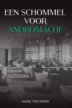 Een schommel voor Andromache - Hans ter Mors 9789051798982, Verzenden, Gelezen, Hans ter Mors