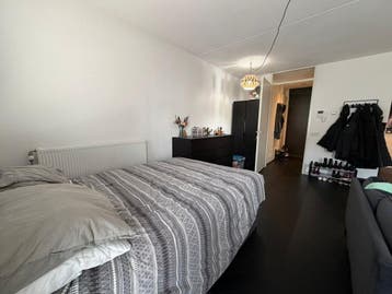 Te huur: Studio Tongelresestraat in Eindhoven, Noord-Brabant, Eindhoven