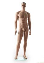 Nieuw in doos etalagepop paspop huidskleur realistische man