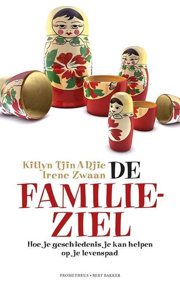 De familieziel - Irene Zwaan 9789035140691, Verzenden, Zo goed als nieuw, Irene Zwaan