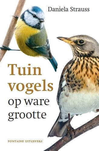 Tuinvogels op ware grootte - Daniela Strauss 9789059566484, Boeken, Verzenden, Zo goed als nieuw, Daniela Strauss