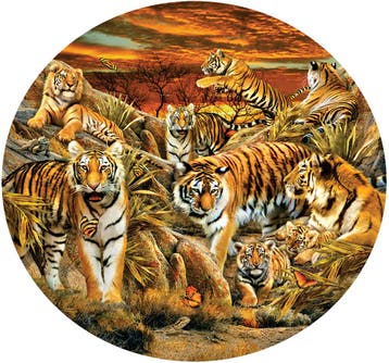Lori Schory Tigers Galore Puzzel (500 XXL stukjes) | SunsOut, Verzenden, Nieuw