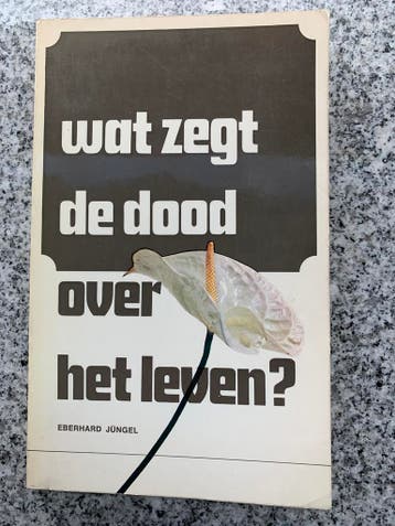 Wat zegt de dood over het leven? – Eberhard Jungel, Boeken, Nieuw, Christendom | Katholiek, Eberhard Jungel, Verzenden