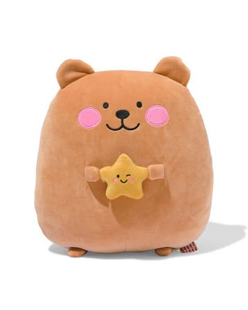 HEMA Knuffel hond met ster laag geprijsd, Verzenden, Nieuw