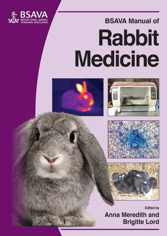 9781905319497 Bsava Manual Of Rabbit Medicine, Boeken, Informatica en Computer, Nieuw, Verzenden