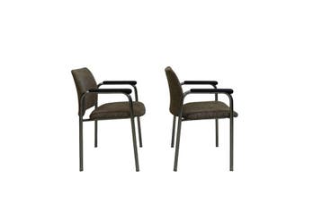 Set van 2 vintage buisframe armstoelen – retro fauteuils met, Ophalen of Verzenden, Nieuw