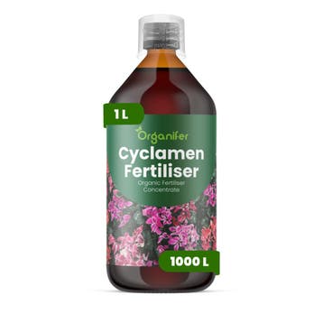 Cyclaam Vloeibare meststof - 1 liter, Verzenden, Mest